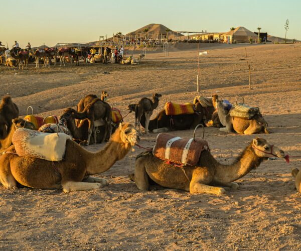 Excursión de un Día al Desierto de Agafay desde Marrakech